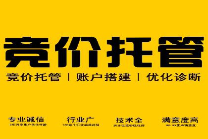 社交平台信息流竞价广告的投放策略与效果